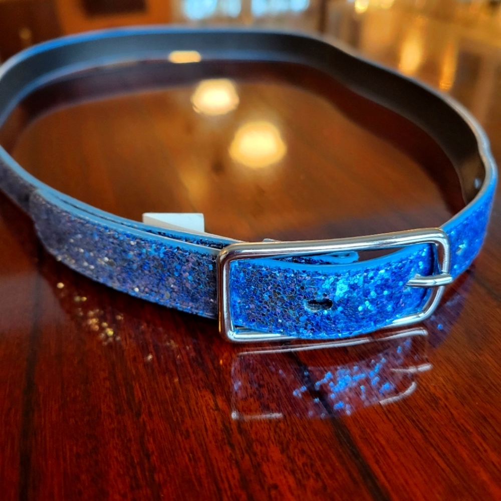 NWT J. Crew Women’s Belt Sky Blue Glitter 38”